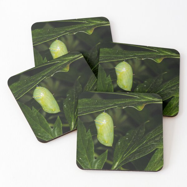 Item preview, Monarch Caterpillar 5 designed and sold by Robert Alsop.