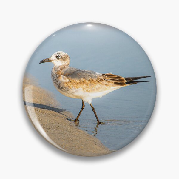 Item preview, Sandpiper 2 designed and sold by Just My Nature Photography.