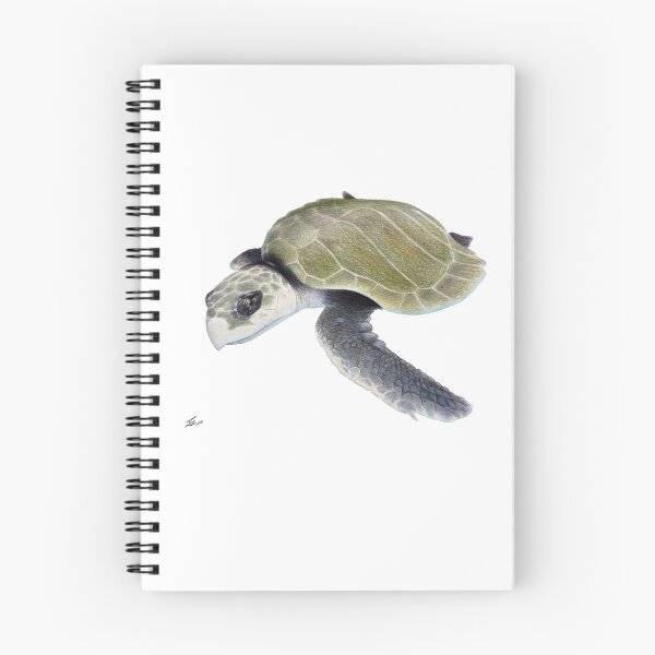 Item preview, Kemps Ridley Sea Turtle designed and sold by Joe Richichi.