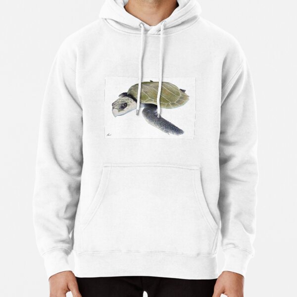 Sea Turtles of the World Pullover Hoodie for Sale by Joe Richichi Redbubble