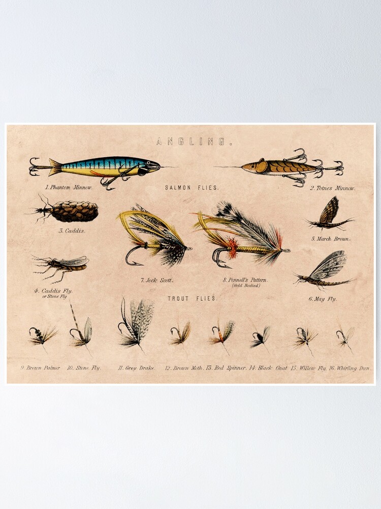 Vintage Fishing Lures Pattern | Poster