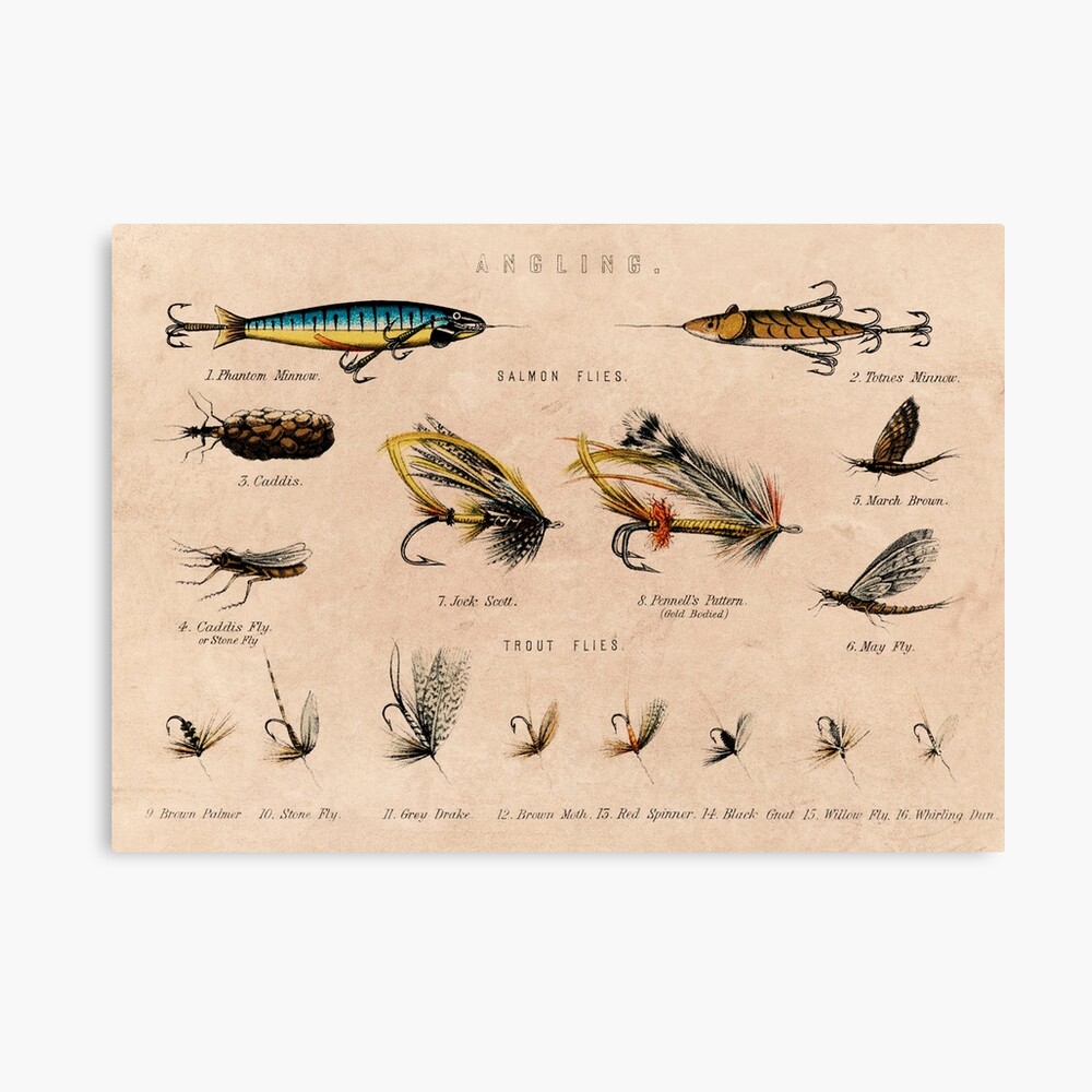 Vintage Fishing Lures Art Board Print for Sale by Bill Fortenberry