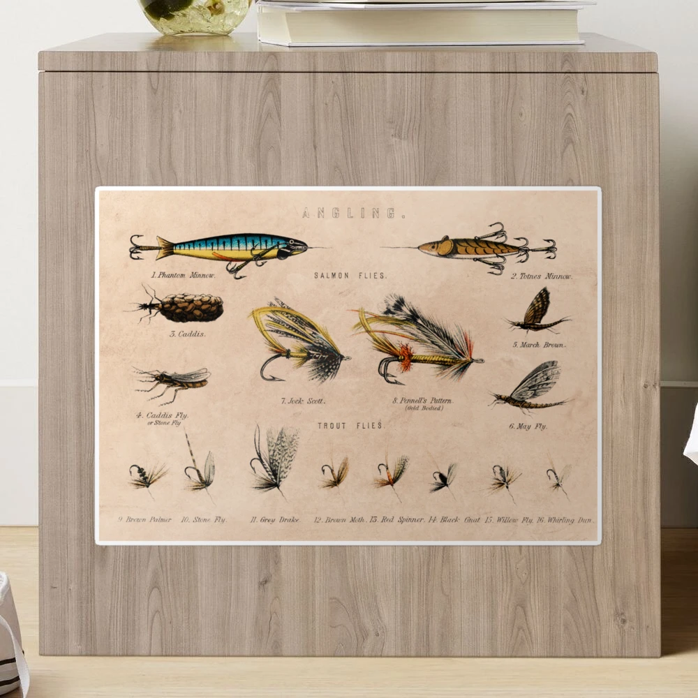 Vintage Fishing Lures Art Print for Sale by Bill Fortenberry