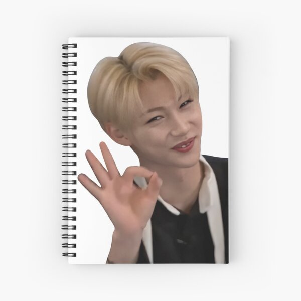 felix- stray kids Spiral Notebook
