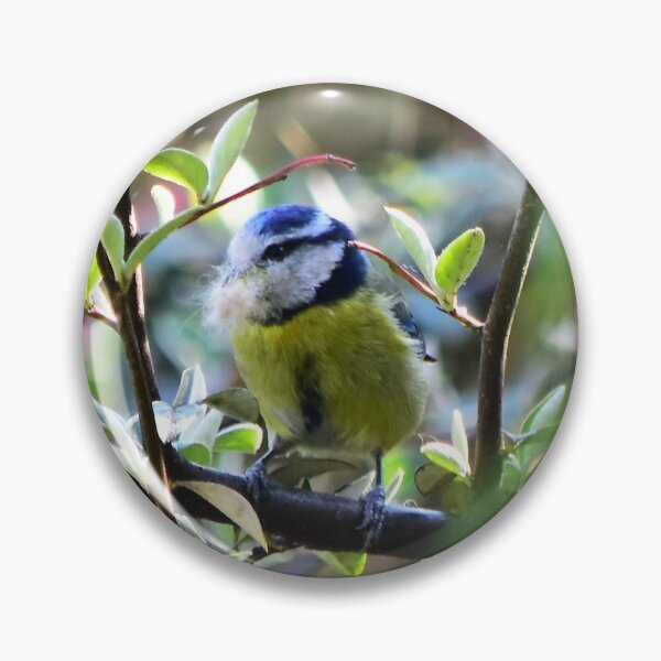 Item preview, Blue Tit in the garden designed and sold by Irene168.