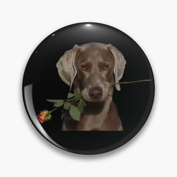 Item preview, Weimaraner designed and sold by JeanettesPets.