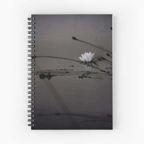 Item preview, Lone Lilly Black as Night designed and sold by KbytesOfJax Outdoor and Nature.