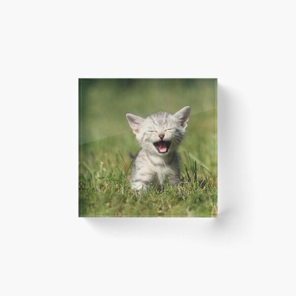 Item preview, cute kitten designed and sold by JeanettesPets.