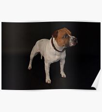 Gizmo (Seenworstaff Stand By Me) Poster