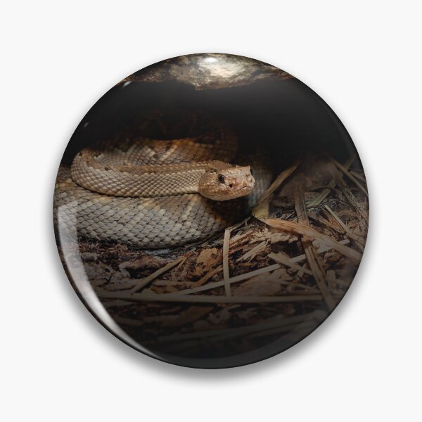 Item preview, Rattler Den designed and sold by KbytesOfJax Outdoor and Nature.