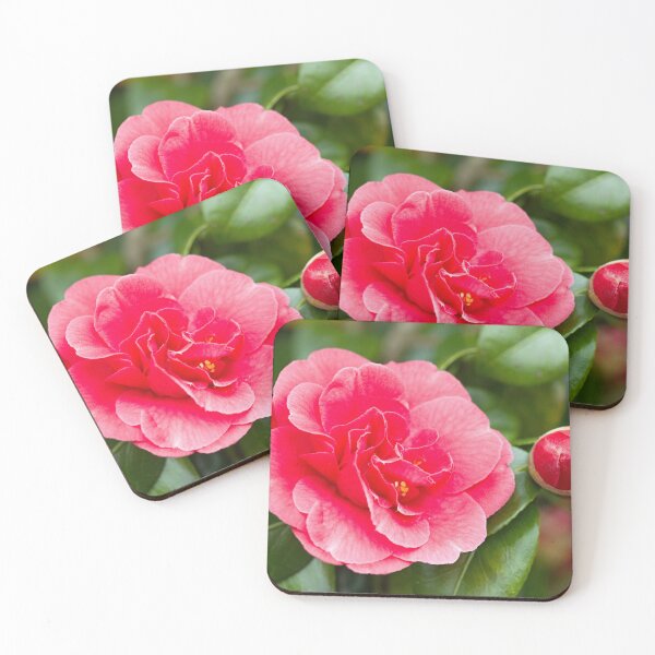Item preview, Pinky Red coloured Camellia Japonica Flower and Bud in April in Spring - a beautiful flower to remind us that Spring is here.  designed and sold by Cameranick.