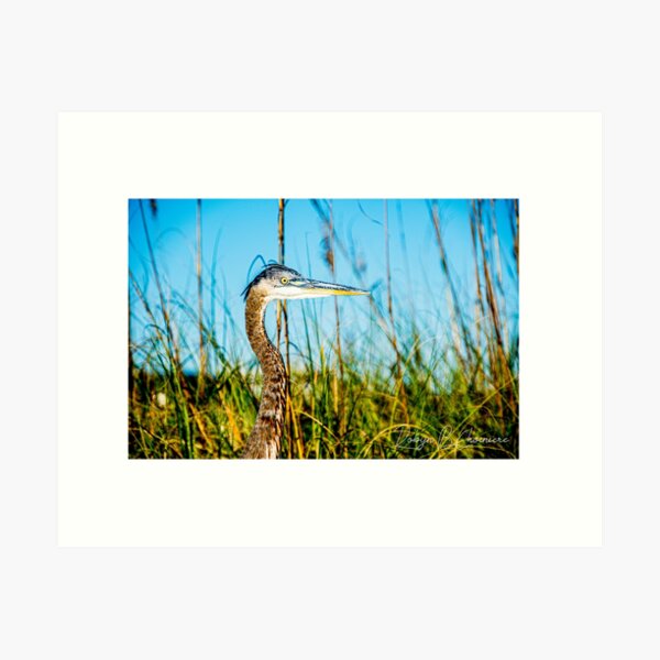 Item preview, Heron 96 designed and sold by Just My Nature Photography.