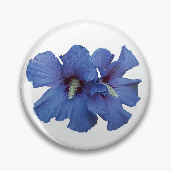Aperçu de l'œuvre Paire d'Hibiscus en Satin Bleu avec Gouttes de Rosée créée et vendue par KbytesOfJax Outdoor and Nature.
