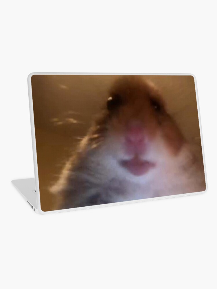 Staring Hamster Meme Laptop Skin By Yamanos Redbubble