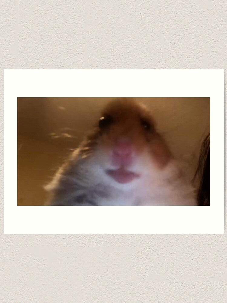 Staring Hamster Meme Art Print By Yamanos Redbubble