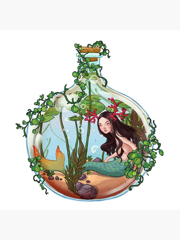 Mermaid Plant Terrarium