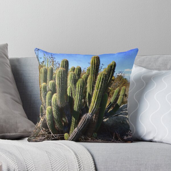 Item preview, "Desert Plants - The Wild Bunch" designed and sold by Glenn McCarthy.
