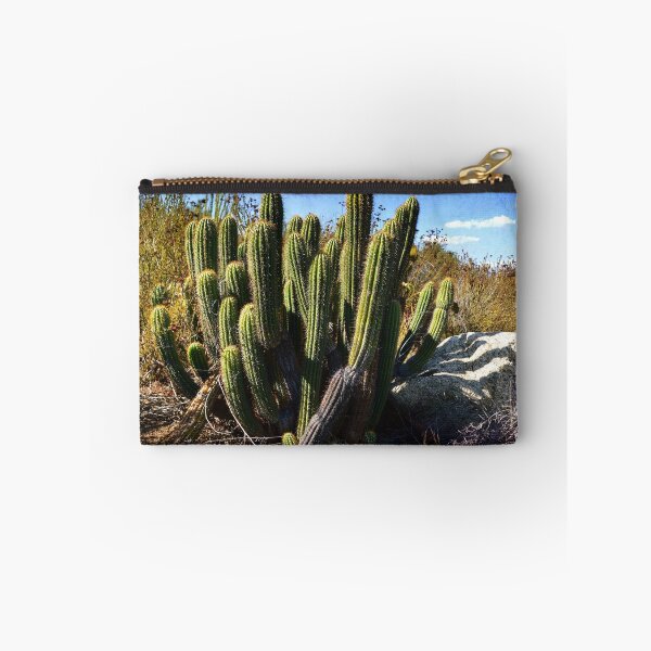 Item preview, "Desert Plants - The Wild Bunch" designed and sold by Glenn McCarthy.