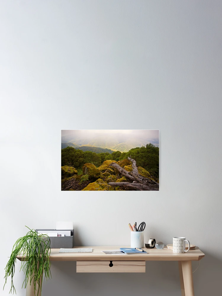 Thumbnail 2 of 3, Poster, Clawed Canopy designed and sold by Richard Windeyer.