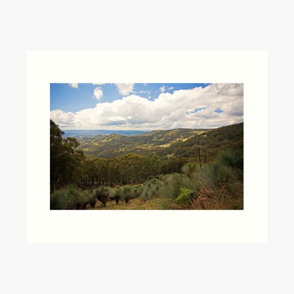 Item preview, Barrington Tops Grass Trees  designed and sold by Richard  Windeyer.