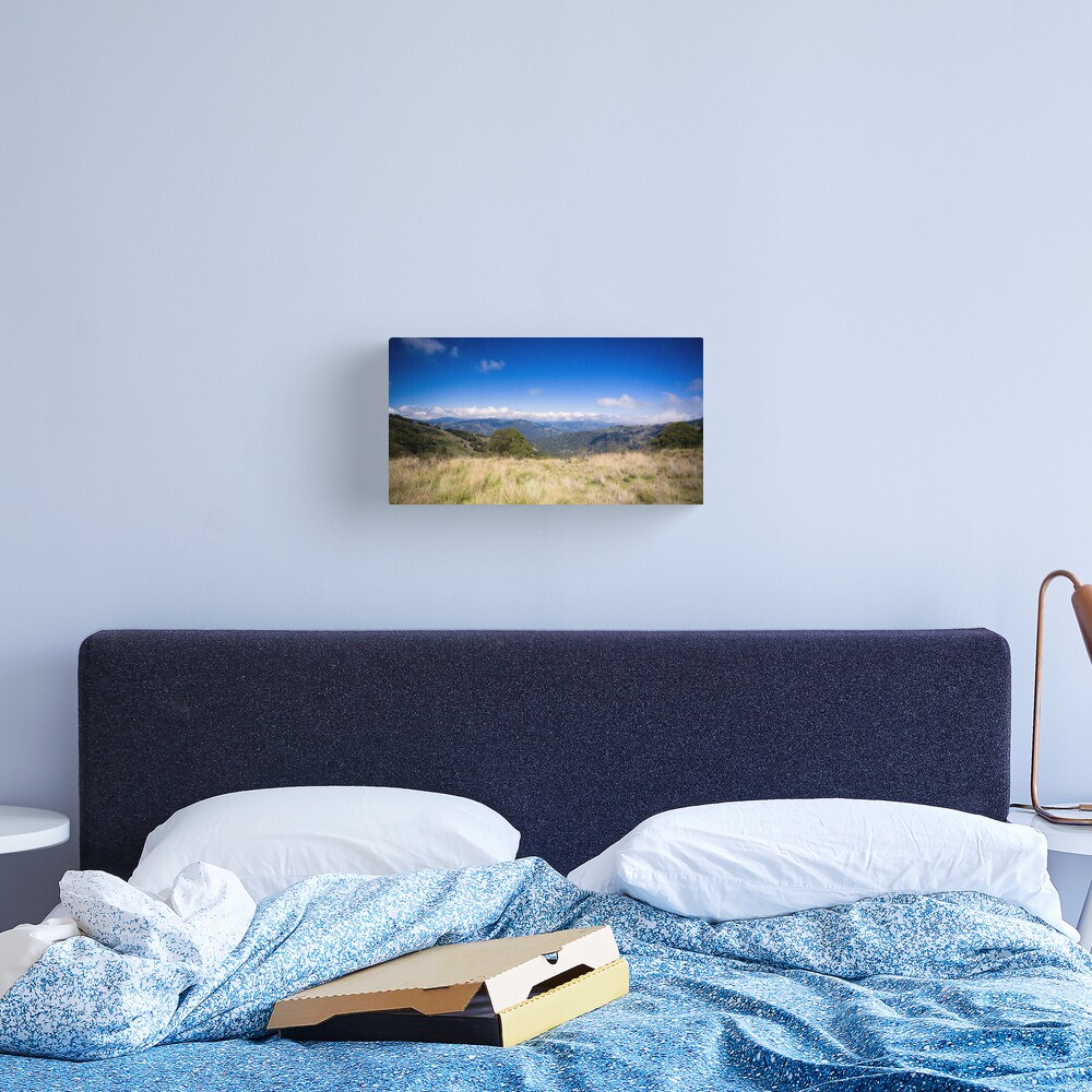 View from Barrinton Forrest Rd, Barrinton Tops Canvas Print