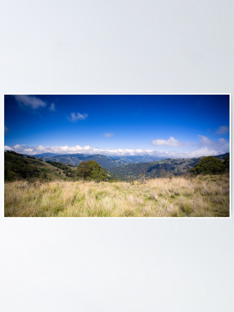 Alternate view of View from Barrinton Forrest Rd, Barrinton Tops Poster
