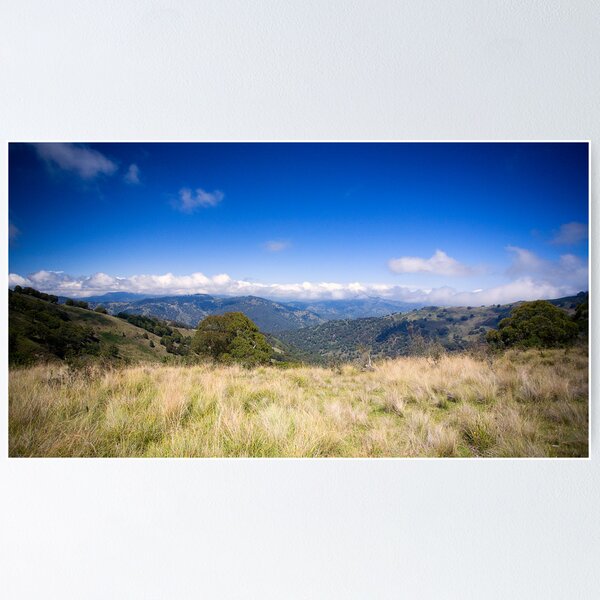 View from Barrinton Forrest Rd, Barrinton Tops Poster