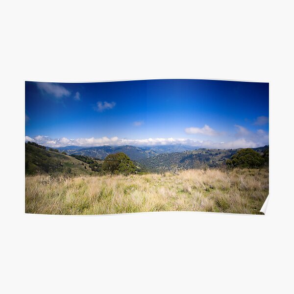 View from Barrinton Forrest Rd, Barrinton Tops Poster