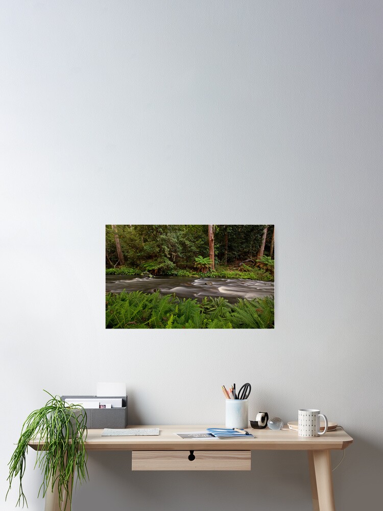 Thumbnail 1 of 3, Poster, Manning River, Barrinton Tops designed and sold by Richard Windeyer.