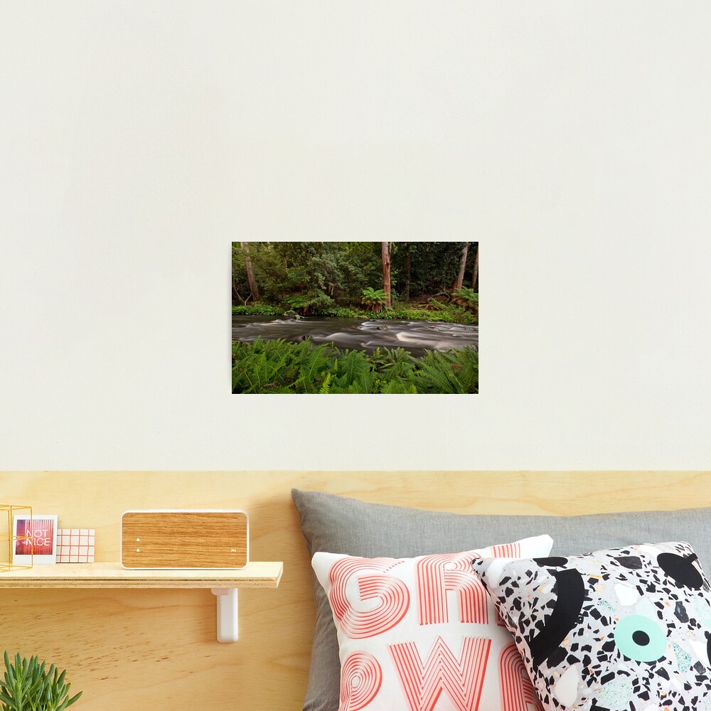 Manning River, Barrinton Tops Photographic Print