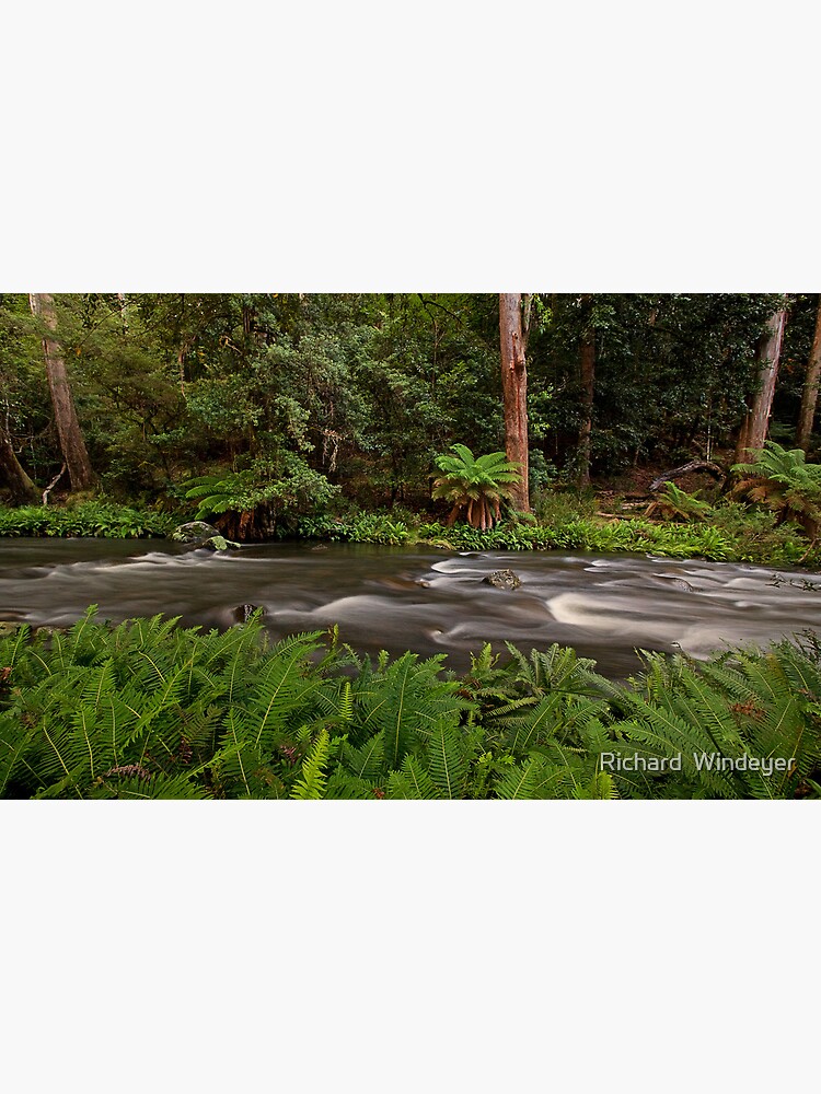 Thumbnail 3 of 3, Poster, Manning River, Barrinton Tops designed and sold by Richard Windeyer.