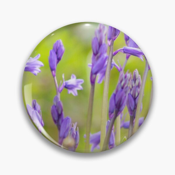 Item preview, Bluebells designed and sold by ellenmpics.