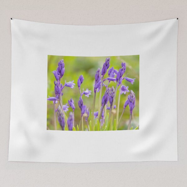 Item preview, Bluebells designed and sold by ellenmpics.