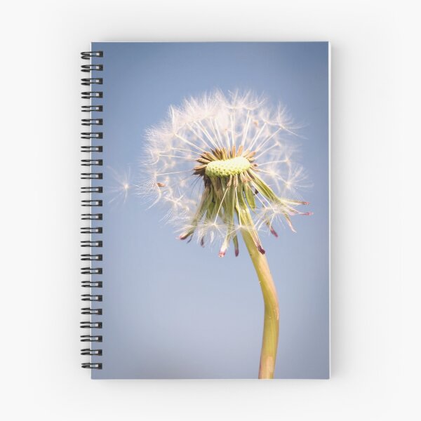 Item preview, Dandelion seedhead designed and sold by JEZ22.