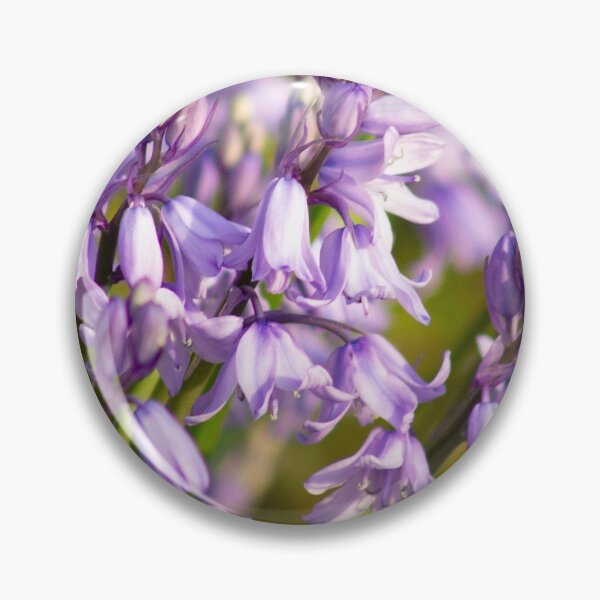 Item preview, Bluebells designed and sold by ellenmpics.