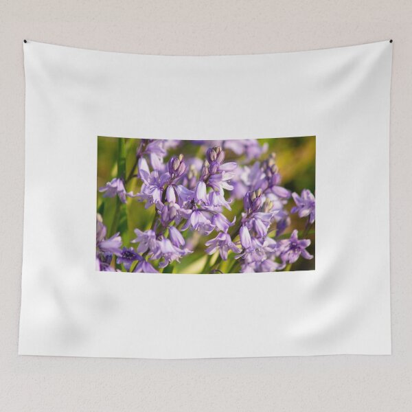 Item preview, Bluebells designed and sold by ellenmpics.