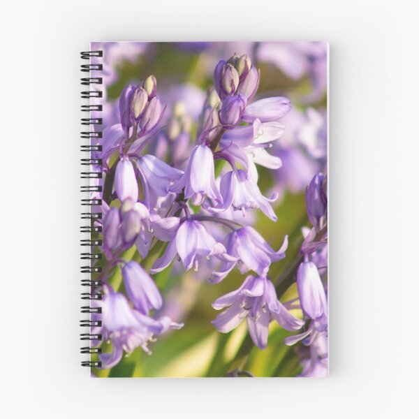 Item preview, Bluebells designed and sold by ellenmpics.