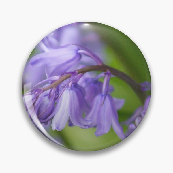 Item preview, Bluebells designed and sold by ellenmpics.