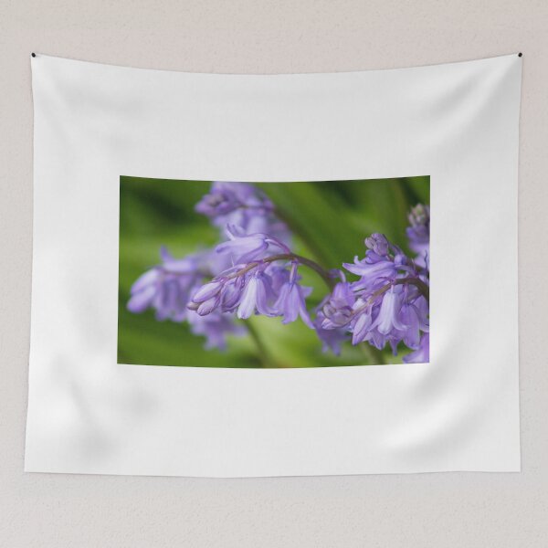 Item preview, Bluebells designed and sold by ellenmpics.