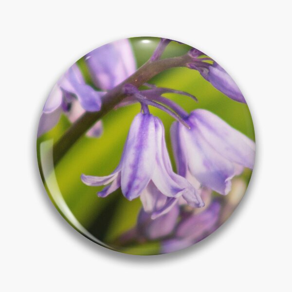 Item preview, Bluebells designed and sold by ellenmpics.