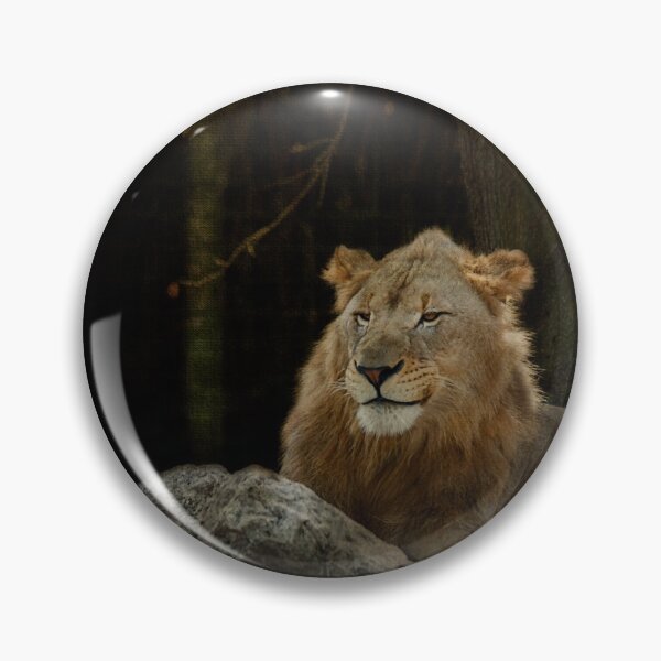 Item preview, Lion in the Forest composite designed and sold by KbytesOfJax Outdoor and Nature.