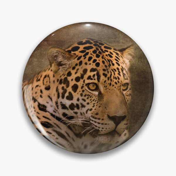 Item preview, Resting Jaguar designed and sold by KbytesOfJax Outdoor and Nature.
