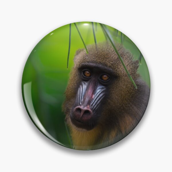 Item preview, Mandrill in Misty Green designed and sold by KbytesOfJax Outdoor and Nature.
