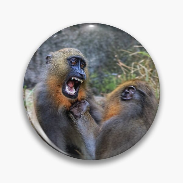 Item preview, Mandrills Menace designed and sold by KbytesOfJax Outdoor and Nature.