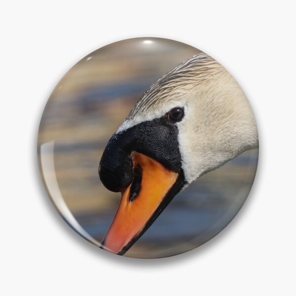 Item preview, Mute swan portrait designed and sold by GreyFeatherPhot.