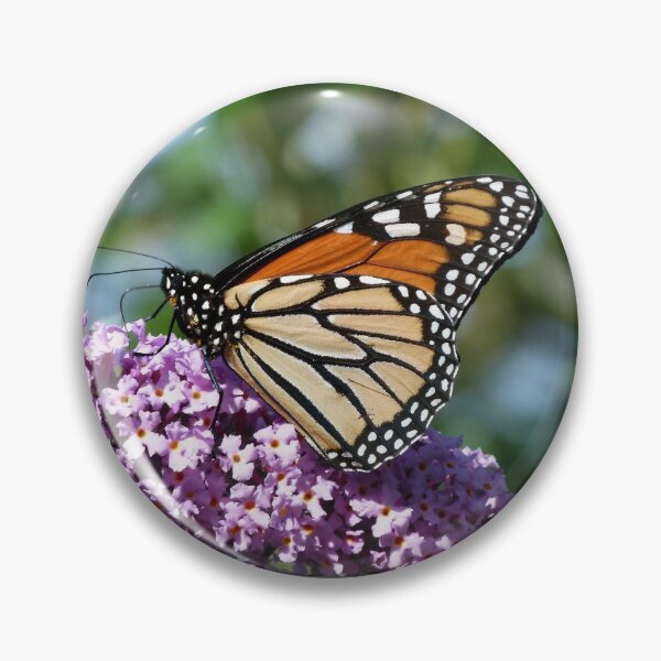 Item preview, Magnificent Monarch designed and sold by Trish Meyer.