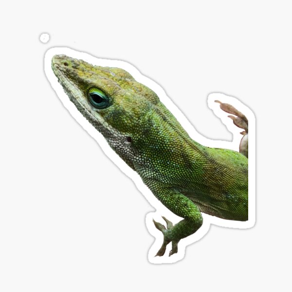 Item preview, Green Lizard designed and sold by lezell.
