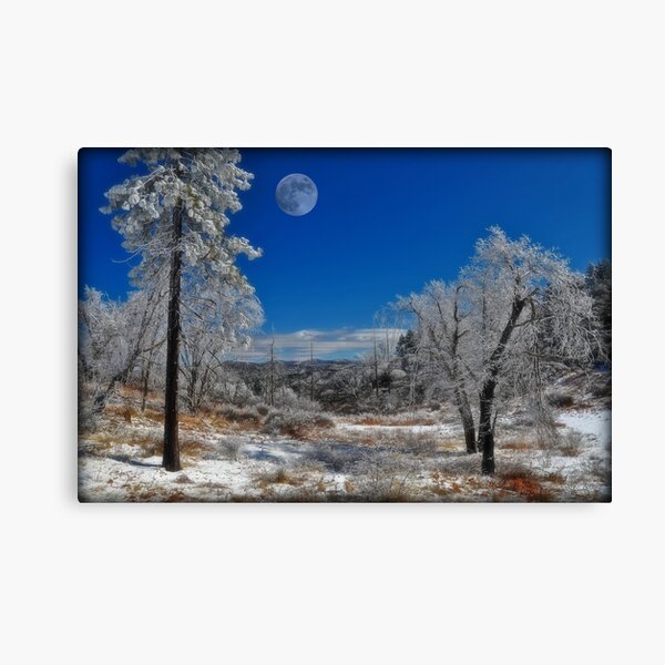 " Nature Rocks " Canvas Print