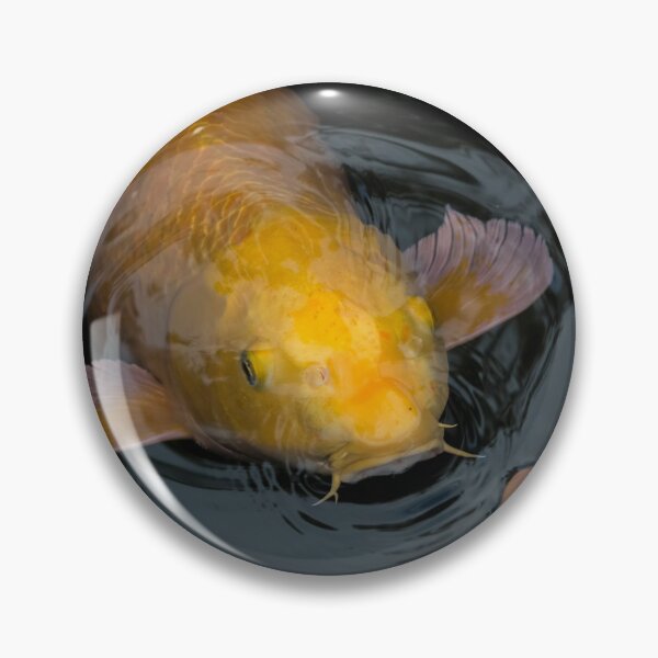 Item preview, Close Up of Single Large Yellow Koi Fish with Whiskers designed and sold by KbytesOfJax Outdoor and Nature.