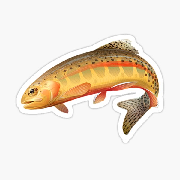 Trout rod adam's symbolic trout